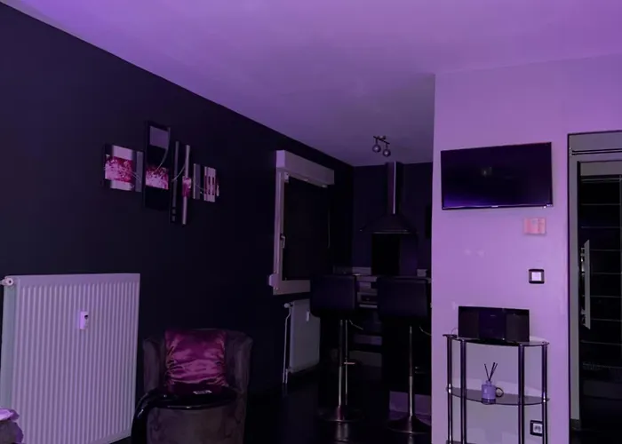 Апартаменты La Douce Parenthese Дижон